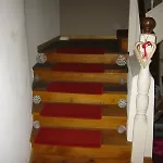 Villafunkelbunt