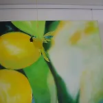 Apartamento Villafunkelbunt